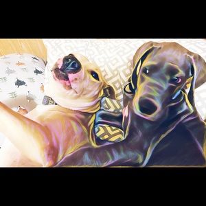 Meet your Posher, Penny l